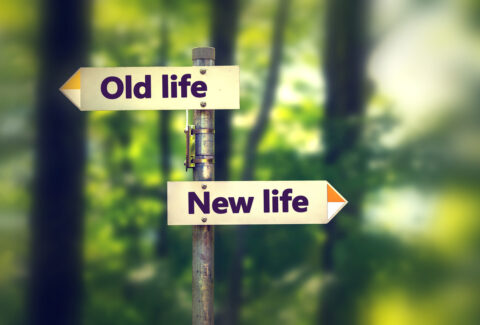 signpost,in,a,park,with,arrows,old,and,new,life