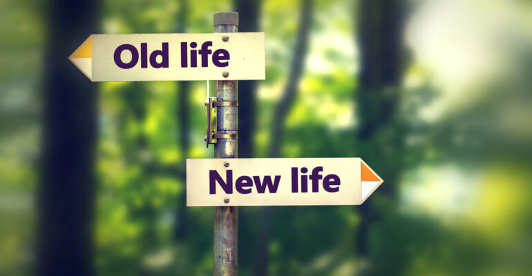 signpost,in,a,park,with,arrows,old,and,new,life
